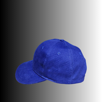 Various blank baseball caps in cotton, twill, and polyester, available in multiple colors for embroidery and custom branding.