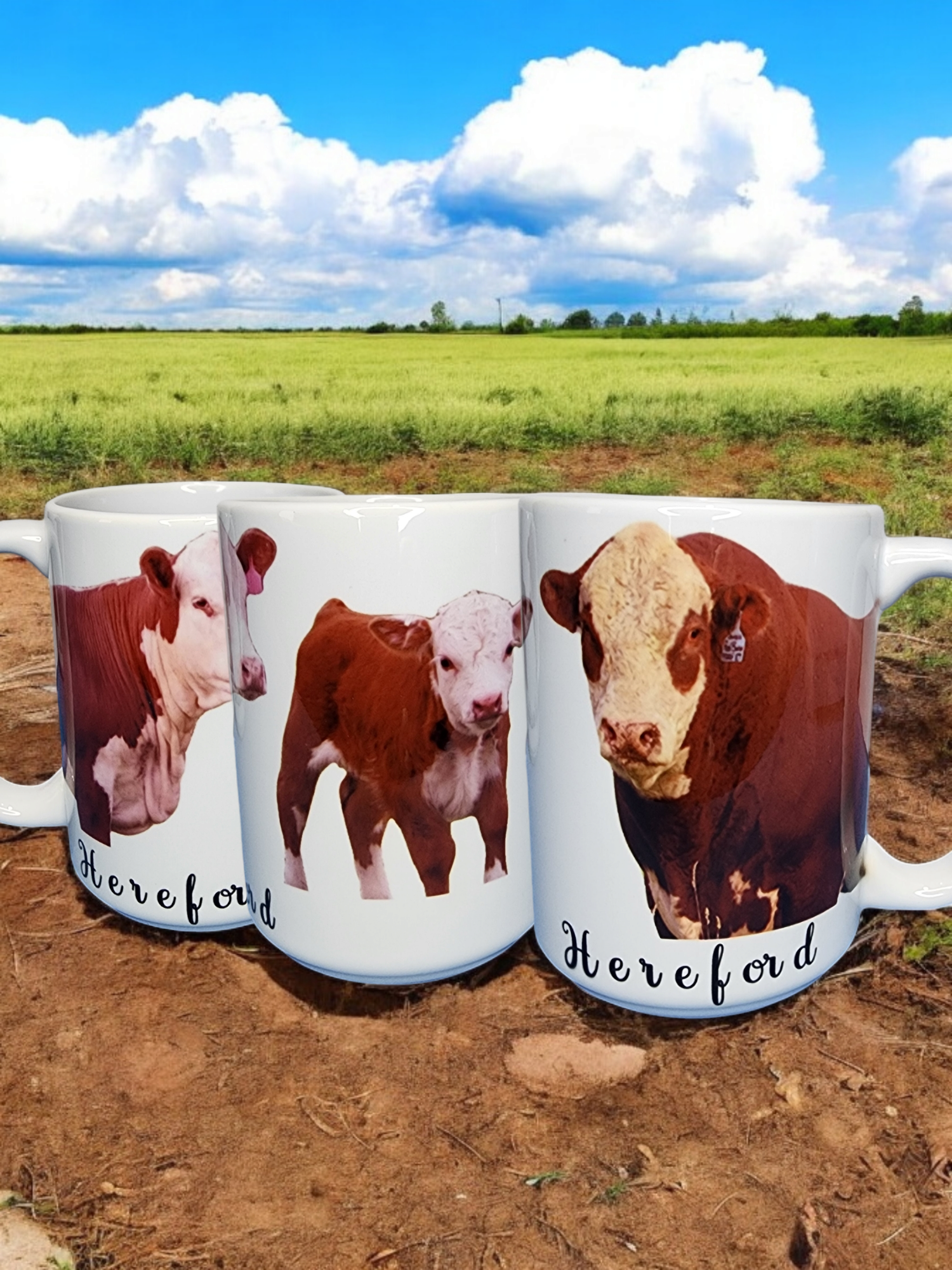 Custom or Pre-Made Coffee Mugs – Hereford cattle artwork