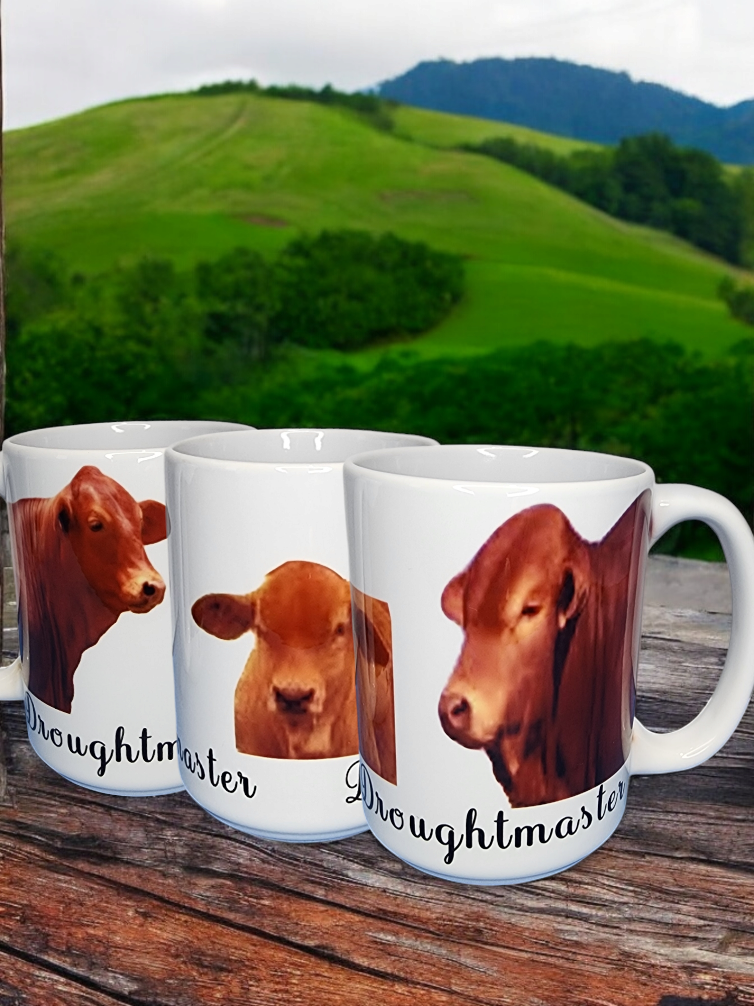 Custom or Pre-Made Coffee Mugs – Droughtmaster cattle design
